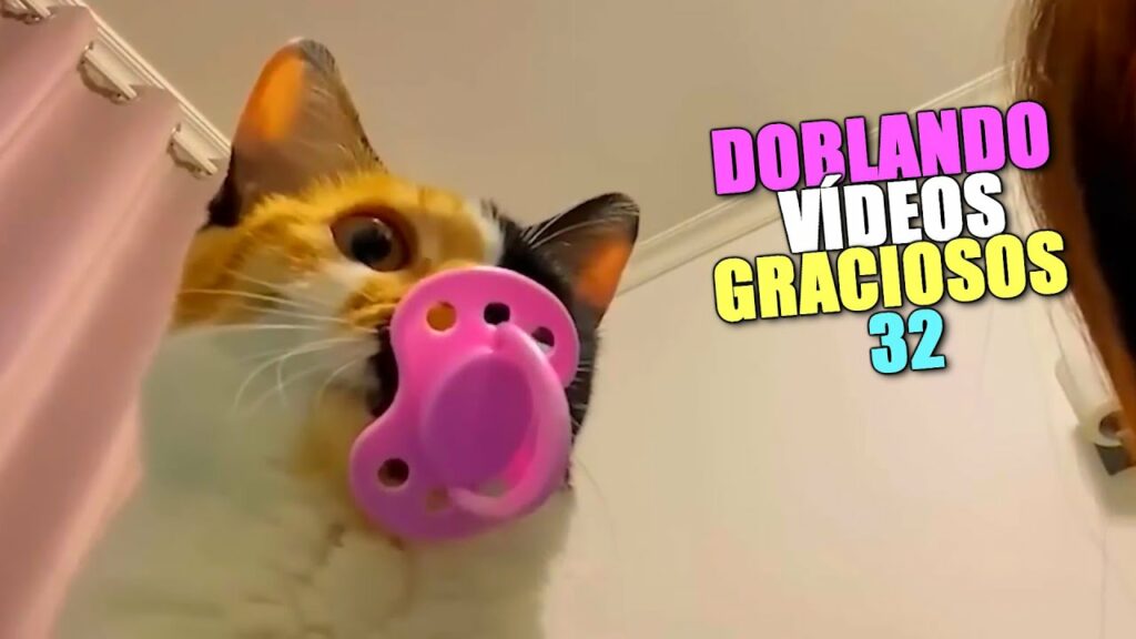 Videos Graciosos